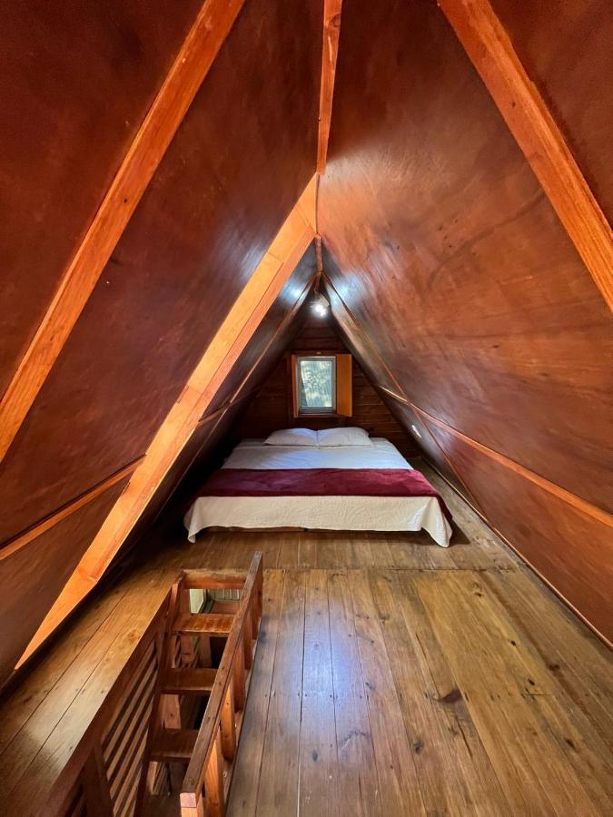 Hotel Cerveceria James Xilitla Eksteriør billede
